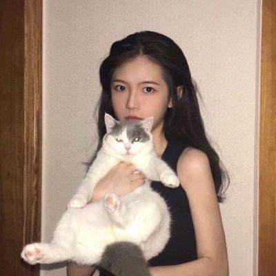 屠龙归来h5 37玩下载