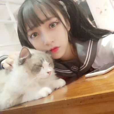 合金无双传奇游戏
